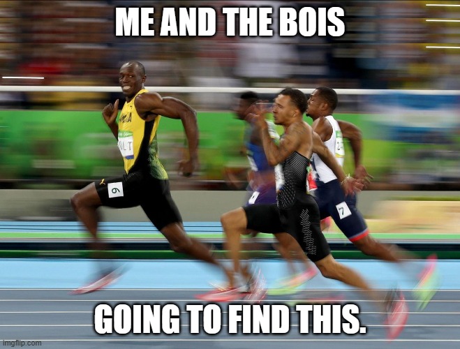 Usain Bolt running | ME AND THE BOIS GOING TO FIND THIS. | image tagged in usain bolt running | made w/ Imgflip meme maker
