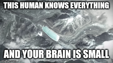Galaxy brain песня. Мозг Мем. Galaxy Brain Мем. Мемы про мозг.