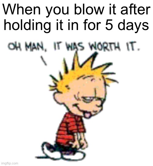 When you blow it after holding it in for 5 days | made w/ Imgflip meme maker