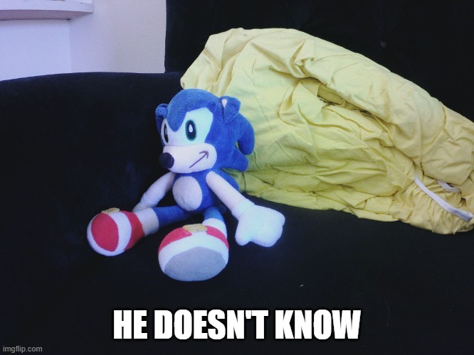 sonic questioning life | HE DOESN'T KNOW | image tagged in sonic questioning life | made w/ Imgflip meme maker