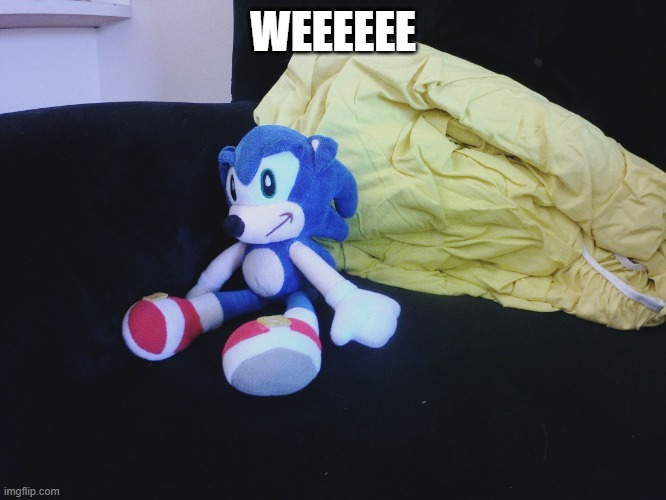 sonic questioning life | WEEEEEE | image tagged in sonic questioning life | made w/ Imgflip meme maker