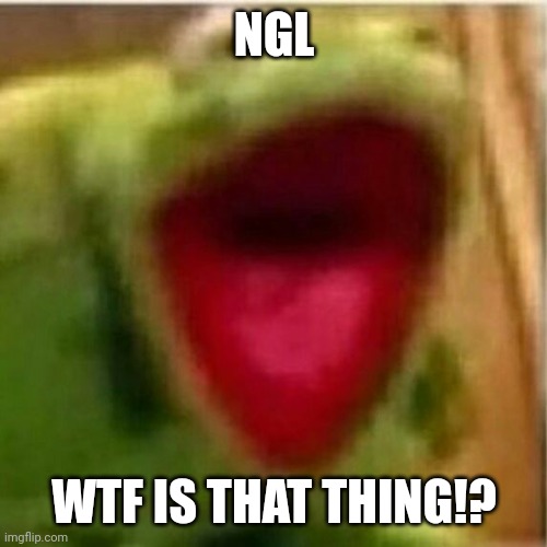 NGL WTF IS THAT THING!? | image tagged in ahhhhhhhhhhhhh | made w/ Imgflip meme maker