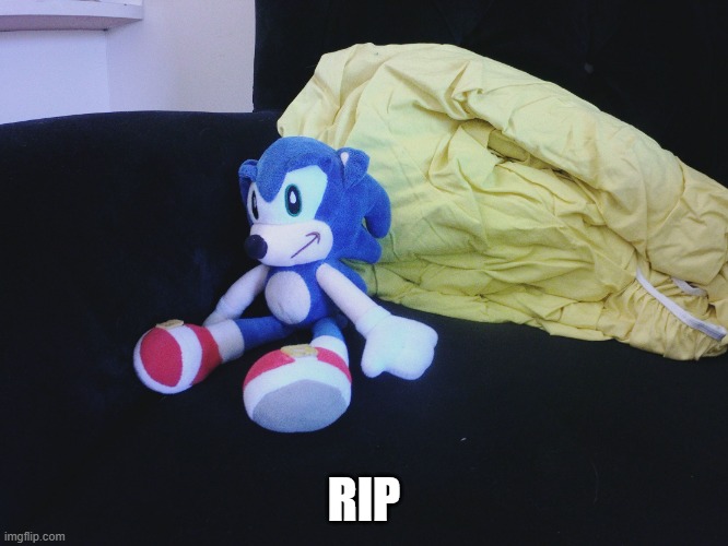 sonic questioning life | RIP | image tagged in sonic questioning life | made w/ Imgflip meme maker