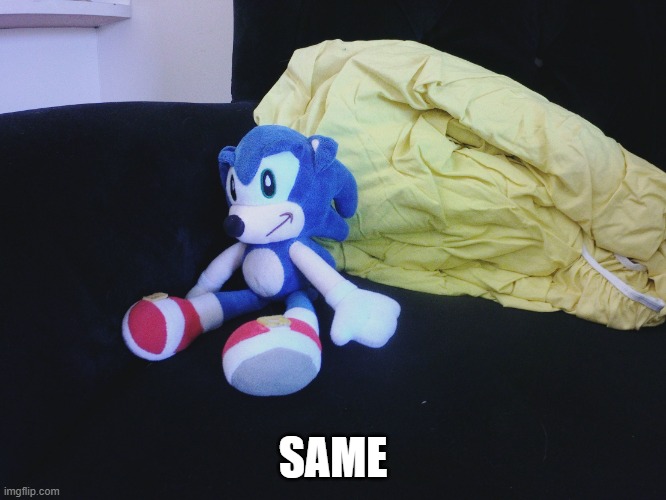 sonic questioning life | SAME | image tagged in sonic questioning life | made w/ Imgflip meme maker