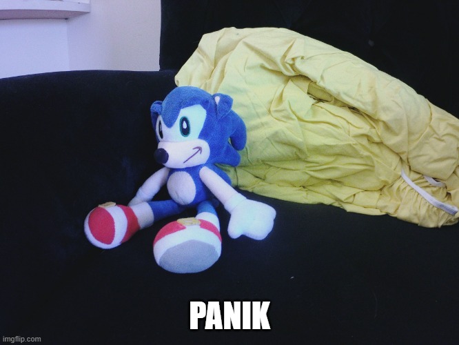 sonic questioning life | PANIK | image tagged in sonic questioning life | made w/ Imgflip meme maker