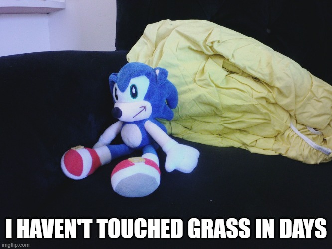 sonic questioning life | I HAVEN'T TOUCHED GRASS IN DAYS | image tagged in sonic questioning life | made w/ Imgflip meme maker