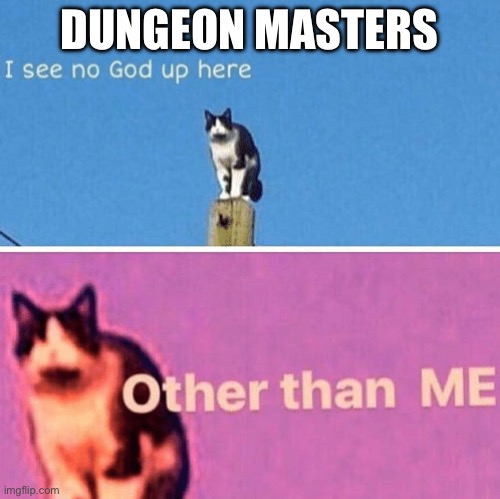 Hail pole cat | DUNGEON MASTERS | image tagged in hail pole cat | made w/ Imgflip meme maker