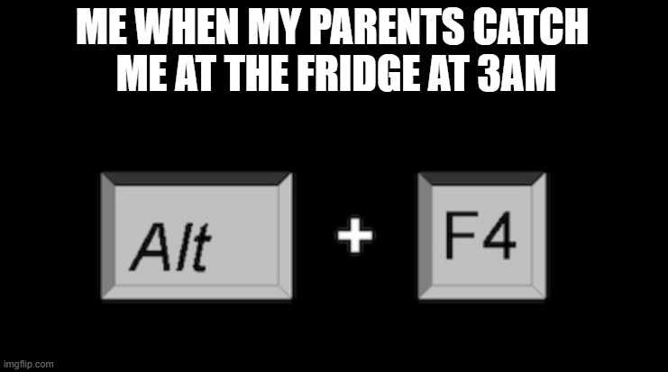 Alt F4 | ME WHEN MY PARENTS CATCH 
ME AT THE FRIDGE AT 3AM | image tagged in alt f4 | made w/ Imgflip meme maker