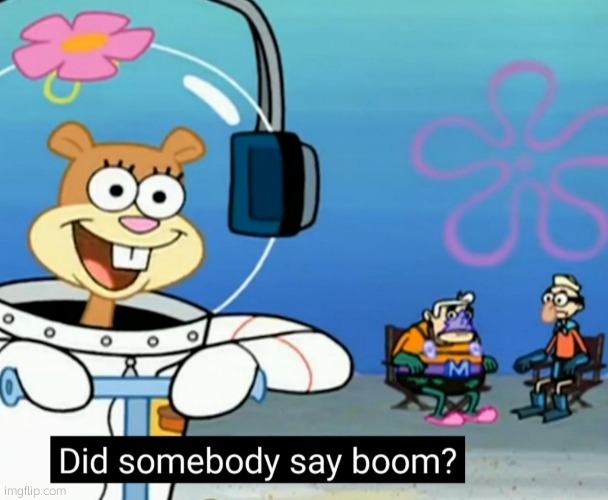 Did somebody say boom? | image tagged in did somebody say boom | made w/ Imgflip meme maker