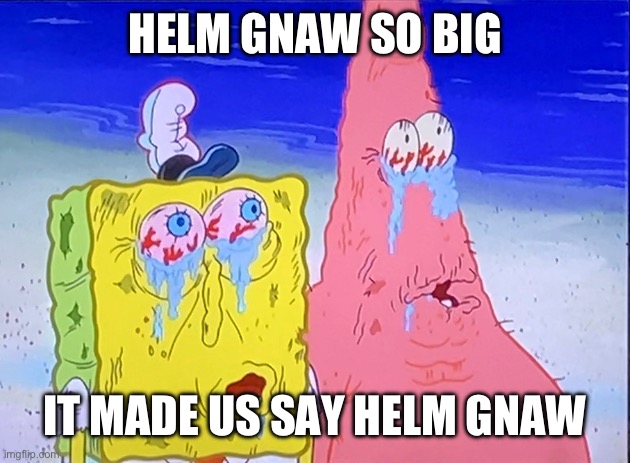 HELM GNAW SO BIG; IT MADE US SAY HELM GNAW | image tagged in helm gnaw | made w/ Imgflip meme maker