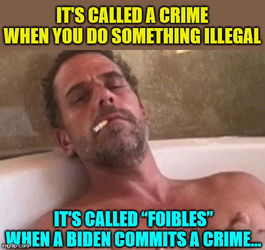 When the plea deal fails... you rebrand the terminology so it's no longer a crime... | IT'S CALLED A CRIME WHEN YOU DO SOMETHING ILLEGAL; IT'S CALLED “FOIBLES” WHEN A BIDEN COMMITS A CRIME... | image tagged in biden,crime,family | made w/ Imgflip meme maker