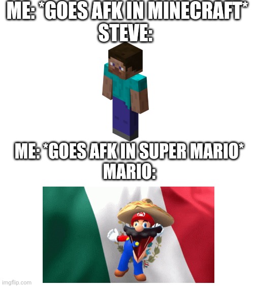 ME: *GOES AFK IN MINECRAFT*
STEVE:; ME: *GOES AFK IN SUPER MARIO*
MARIO: | image tagged in afk | made w/ Imgflip meme maker