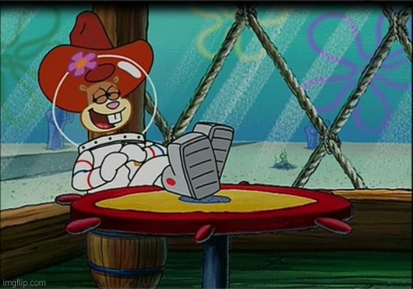 Sandy Cheeks | image tagged in sandy cheeks | made w/ Imgflip meme maker