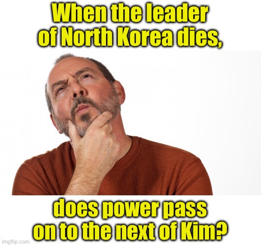 Next | When the leader of North Korea dies, does power pass on to the next of Kim? | image tagged in hmmm | made w/ Imgflip meme maker