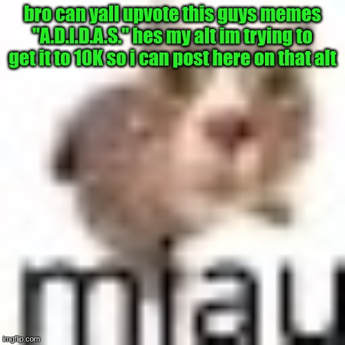 miau very small | bro can yall upvote this guys memes "A.D.I.D.A.S." hes my alt im trying to get it to 10K so i can post here on that alt | image tagged in miau very small | made w/ Imgflip meme maker