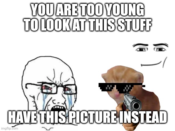 "You are too young to look at this stuff" | YOU ARE TOO YOUNG TO LOOK AT THIS STUFF HAVE THIS PICTURE INSTEAD | image tagged in meme,memes,cat | made w/ Imgflip meme maker