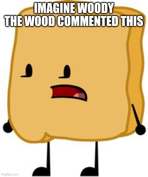 Imagine Woody the Wood commented that | IMAGINE WOODY THE WOOD COMMENTED THIS | image tagged in woody bfdi,bfdi,bfb,tpot | made w/ Imgflip meme maker