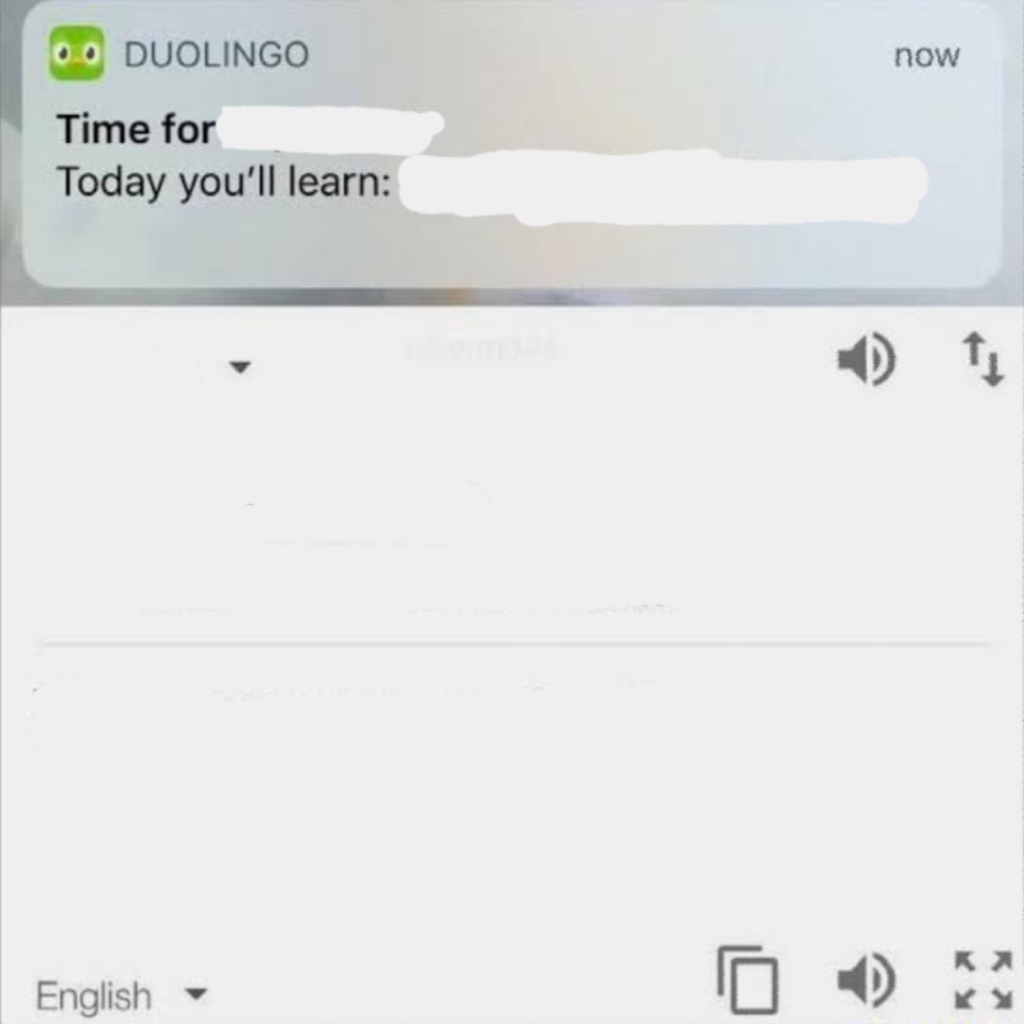 High Quality Duolingo "Today you'll learn:" Blank Meme Template