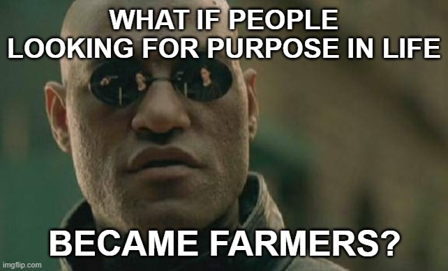 Honest work, measurable returns, feeding people | WHAT IF PEOPLE LOOKING FOR PURPOSE IN LIFE; BECAME FARMERS? | image tagged in memes,matrix morpheus | made w/ Imgflip meme maker