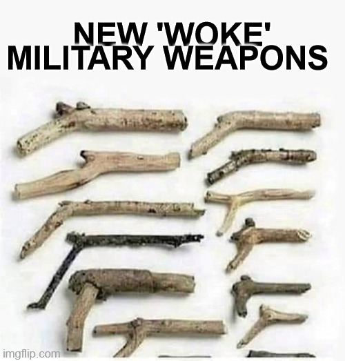 woke military weapons | NEW 'WOKE' MILITARY WEAPONS | image tagged in military,weapons,wwiii,joe biden 2024,guns,army | made w/ Imgflip meme maker