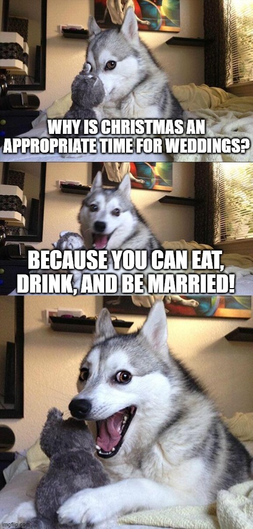 You may kiss the bride... under the mistletoe! | WHY IS CHRISTMAS AN APPROPRIATE TIME FOR WEDDINGS? BECAUSE YOU CAN EAT, DRINK, AND BE MARRIED! | image tagged in memes,bad pun dog | made w/ Imgflip meme maker