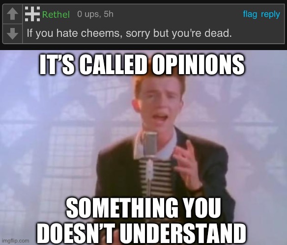 IT’S CALLED OPINIONS; SOMETHING YOU DOESN’T UNDERSTAND | image tagged in rick astley | made w/ Imgflip meme maker
