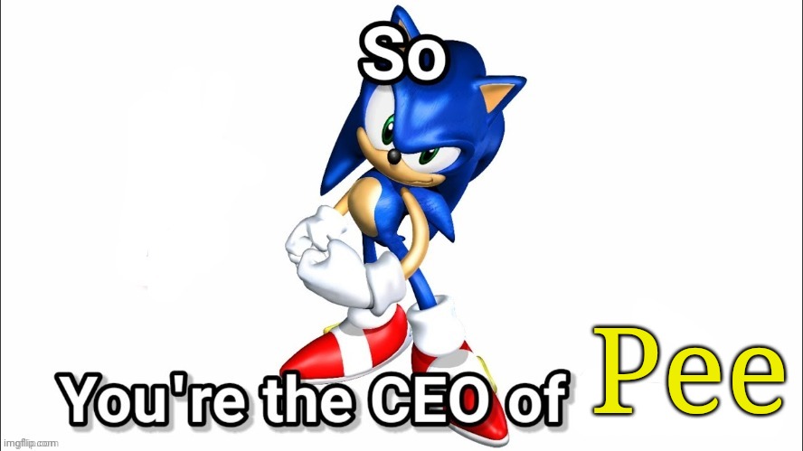 yes | Pee | image tagged in so you're the ceo of,sky was herr | made w/ Imgflip meme maker