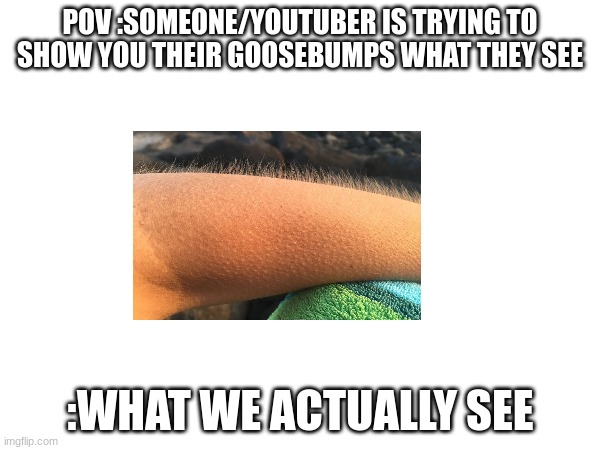 Like seriously there is nothing there | POV :SOMEONE/YOUTUBER IS TRYING TO SHOW YOU THEIR GOOSEBUMPS WHAT THEY SEE; :WHAT WE ACTUALLY SEE | image tagged in memes | made w/ Imgflip meme maker