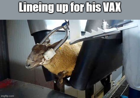 FOLLOW  FOLLOW FOLLOW | Lineing up for his VAX | image tagged in nwo,sheep,democrats | made w/ Imgflip meme maker