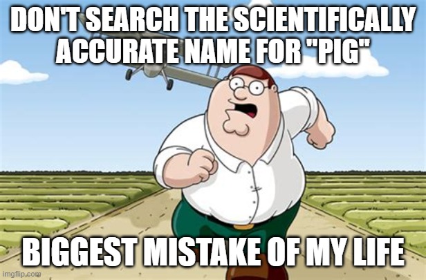Seriously, don't | DON'T SEARCH THE SCIENTIFICALLY ACCURATE NAME FOR ''PIG''; BIGGEST MISTAKE OF MY LIFE | image tagged in don't go to x worst mistake of my life | made w/ Imgflip meme maker