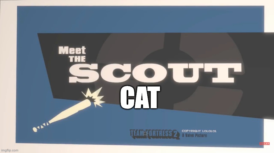 Meet The Scout | CAT | image tagged in meet the scout | made w/ Imgflip meme maker