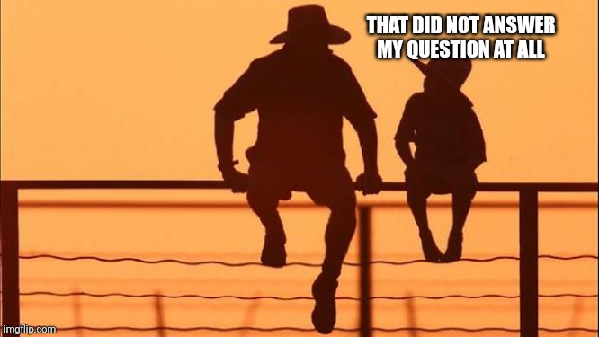 Cowboy father and son | THAT DID NOT ANSWER MY QUESTION AT ALL | image tagged in cowboy father and son | made w/ Imgflip meme maker