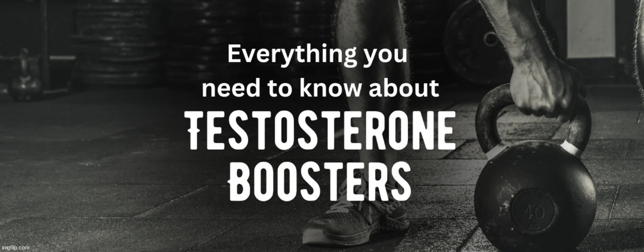 https://jacksnutrition.com/blogs/resources/everything-you-need-to-know-about-testosterone-boosters | image tagged in testosterone boosters,testosteronelevel,lowtestosteronelevel,jacksnutrition | made w/ Imgflip meme maker