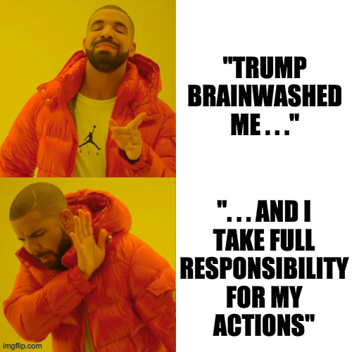 The coming deMAGAfication. | "TRUMP BRAINWASHED ME . . ."; ". . . AND I
TAKE FULL
RESPONSIBILITY
FOR MY
ACTIONS" | image tagged in reverse drake,memes,demagafication | made w/ Imgflip meme maker