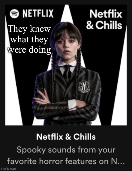 They knew. Yeah they knew | They knew what they were doing | image tagged in netflix and chill,spotify,wednesday addams,music | made w/ Imgflip meme maker