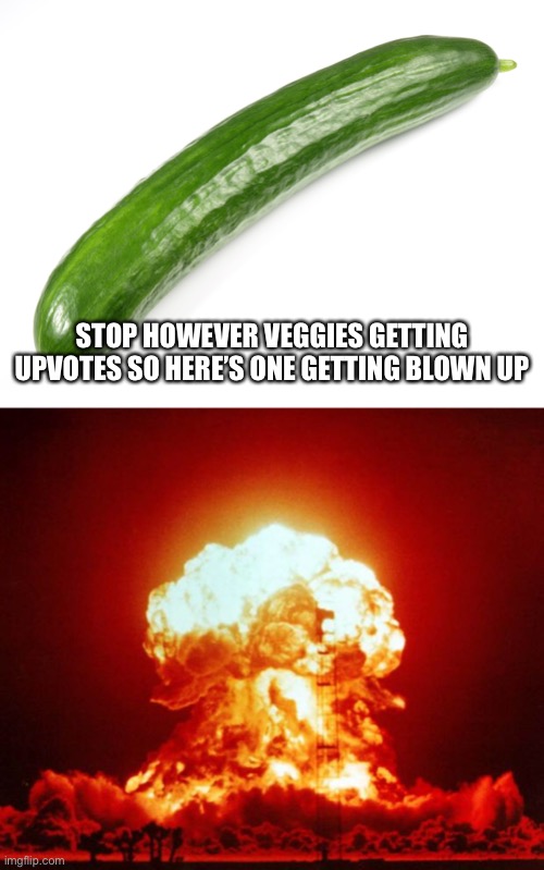 Cuke=nuke | STOP HOWEVER VEGGIES GETTING UPVOTES SO HERE’S ONE GETTING BLOWN UP | image tagged in cucumber,nuke | made w/ Imgflip meme maker