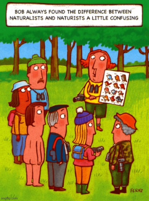 Bob always confused | image tagged in confused between,naturalists and,naturists,comics | made w/ Imgflip meme maker