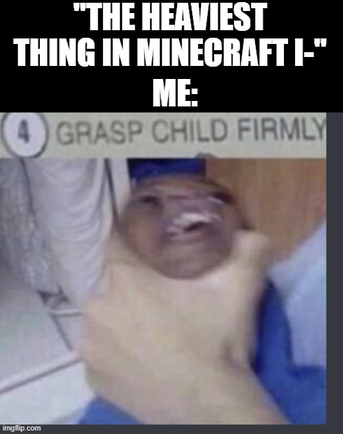 SHUT UP! | "THE HEAVIEST THING IN MINECRAFT I-"; ME: | image tagged in grasp child firmly,phoenix sc,heaviest objects | made w/ Imgflip meme maker