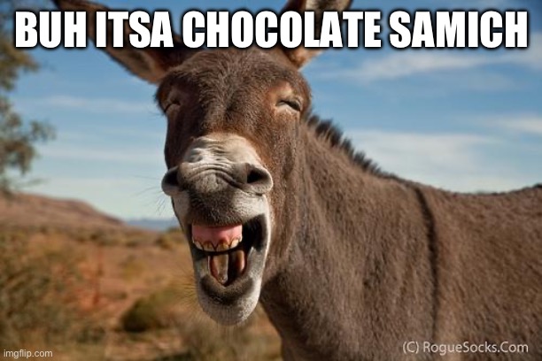 Donkey Jackass Braying | BUH ITSA CHOCOLATE SAMICH | image tagged in donkey jackass braying | made w/ Imgflip meme maker