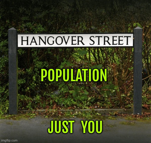 Street Name | POPULATION; JUST  YOU | image tagged in hangover street,population,just you,street name,fun | made w/ Imgflip meme maker