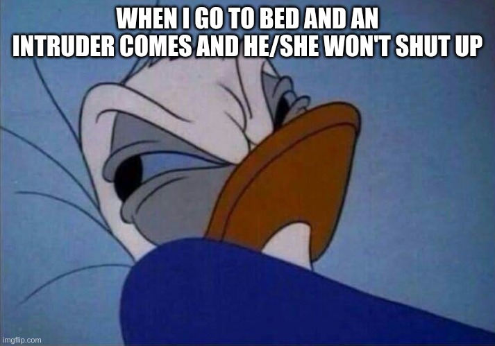 I'm trying to sleep | WHEN I GO TO BED AND AN INTRUDER COMES AND HE/SHE WON'T SHUT UP | image tagged in angry donald duck | made w/ Imgflip meme maker