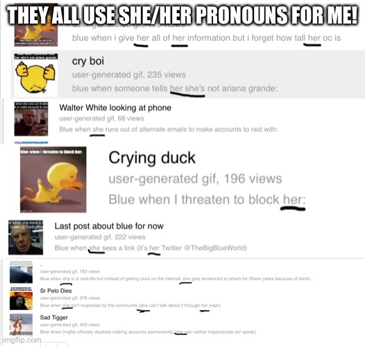 Oh boy! | THEY ALL USE SHE/HER PRONOUNS FOR ME! | made w/ Imgflip meme maker