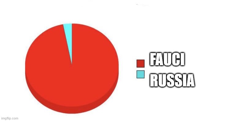 Pie Chart | FAUCI RUSSIA | image tagged in pie chart | made w/ Imgflip meme maker