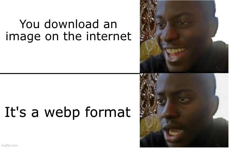 Disappointed Black Guy | You download an image on the internet; It's a webp format | image tagged in disappointed black guy | made w/ Imgflip meme maker