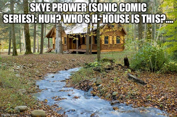 Skye and the cat witches | SKYE PROWER (SONIC COMIC SERIES): HUH? WHO’S H- HOUSE IS THIS?…. | image tagged in cabin in the woods | made w/ Imgflip meme maker