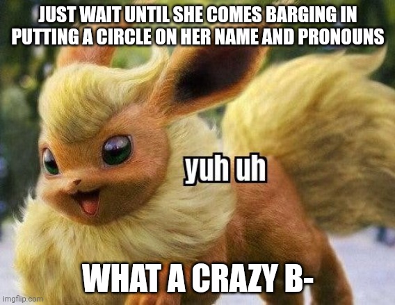 flareon yuh uh | JUST WAIT UNTIL SHE COMES BARGING IN PUTTING A CIRCLE ON HER NAME AND PRONOUNS; WHAT A CRAZY B- | image tagged in flareon yuh uh | made w/ Imgflip meme maker