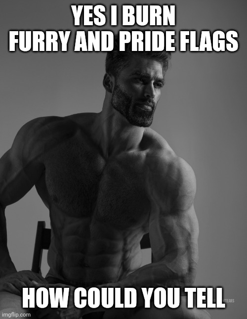 Giga Chad | YES I BURN FURRY AND PRIDE FLAGS HOW COULD YOU TELL | image tagged in giga chad | made w/ Imgflip meme maker