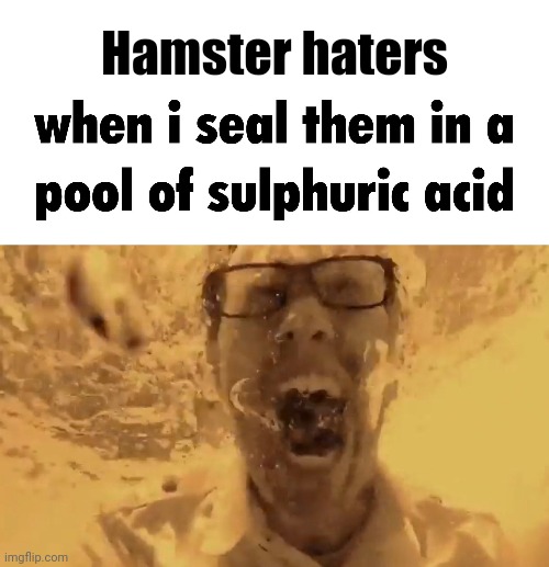 Fr | Hamster haters | image tagged in when i drown them in | made w/ Imgflip meme maker