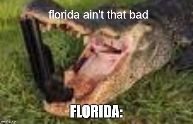 Florida is okay | florida ain't that bad; FLORIDA: | image tagged in florida | made w/ Imgflip meme maker