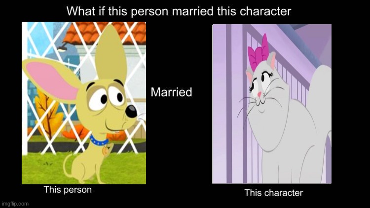 if cuddlesworth married madame pickypuss | image tagged in what if character married this character,pound puppies,hasbro,cats,dogs,married couple | made w/ Imgflip meme maker